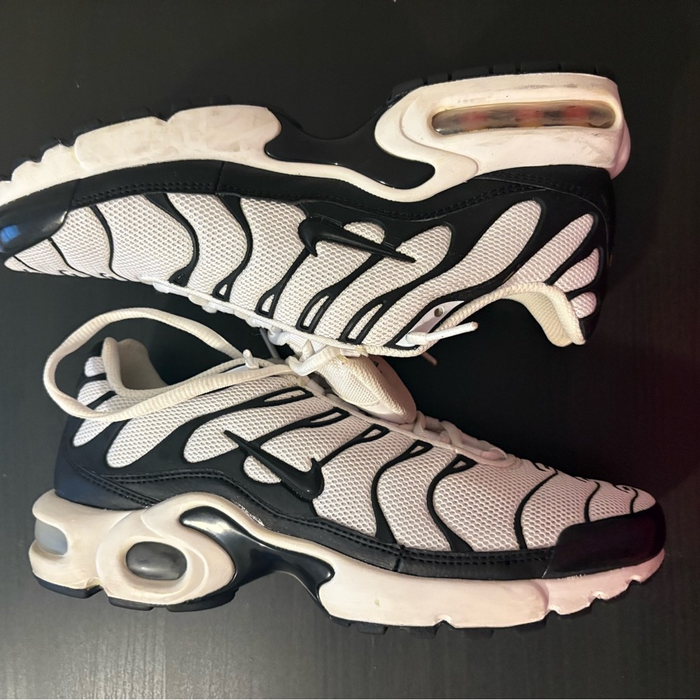 Nike Air Max Plus White and Black Sneakers
